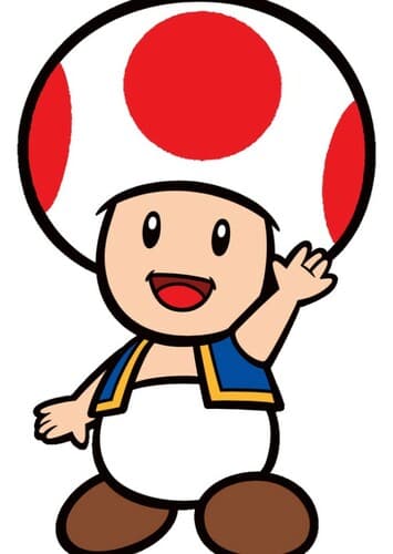 Toad