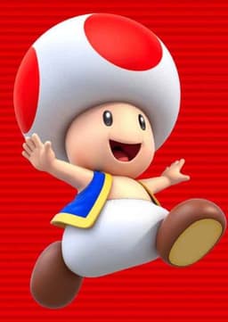 Toad