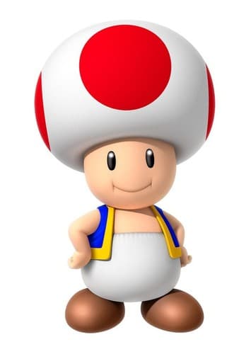 Toad