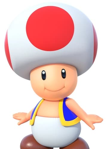 Toad