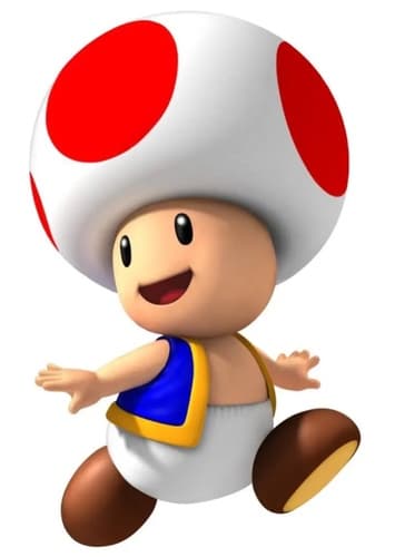 Toad