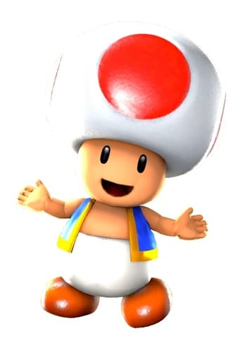 Toad