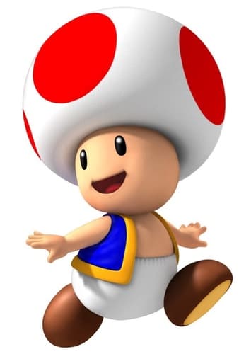 Toad