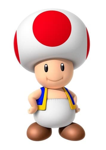 Toad