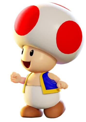 Toad