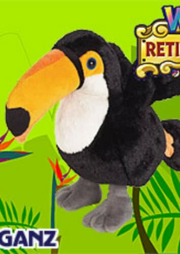 Toco Toucan