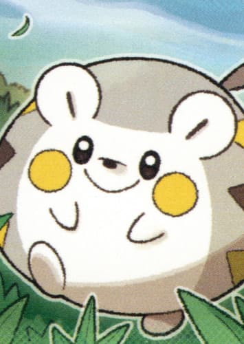 Togedemaru / トゲデマル