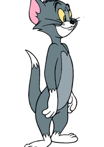 Tom Cat