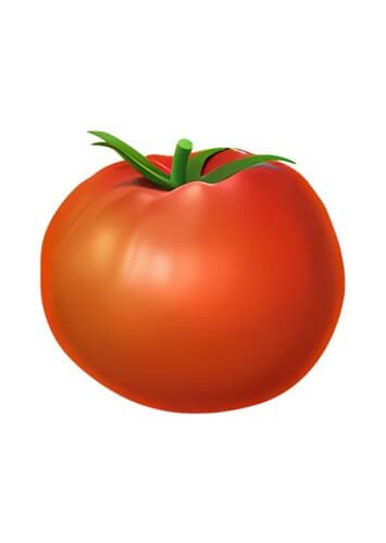 Tomato