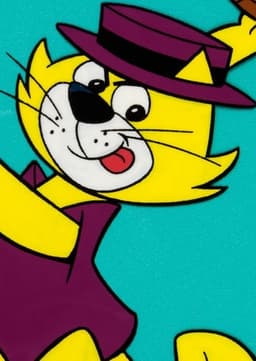 Top Cat