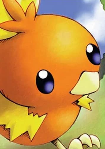 Torchic / アチャモ