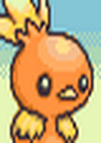 Torchic