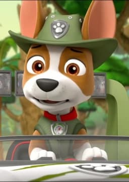 Tracker (PAW Patrol)