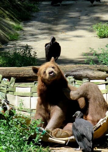 Trailside Museums & Zoo