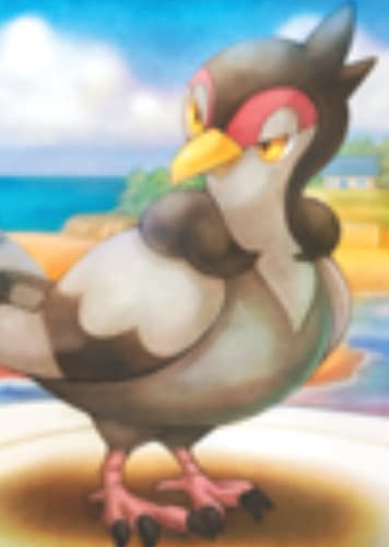 Tranquill / ハトーボー