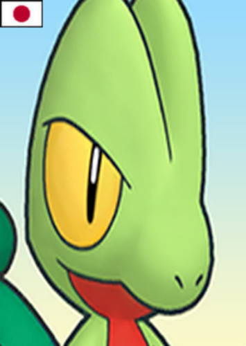 Treecko (Japanese)