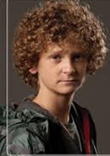 Tribute Boy District 4