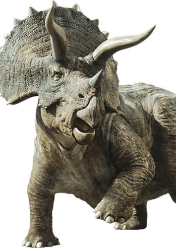 Triceratops