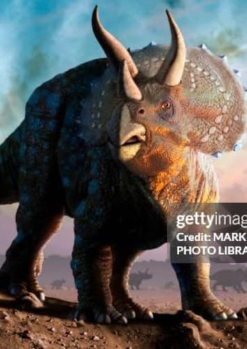 Triceratops