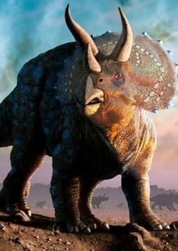 Triceratops