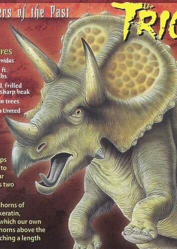Triceratops