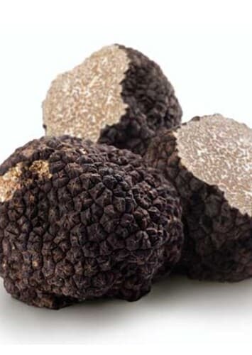 Truffle