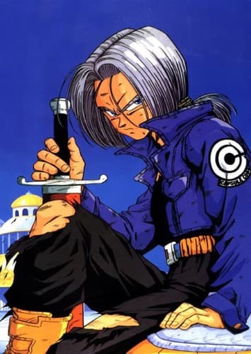 Trunks Brief