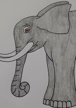 Trunksworth the Elephant