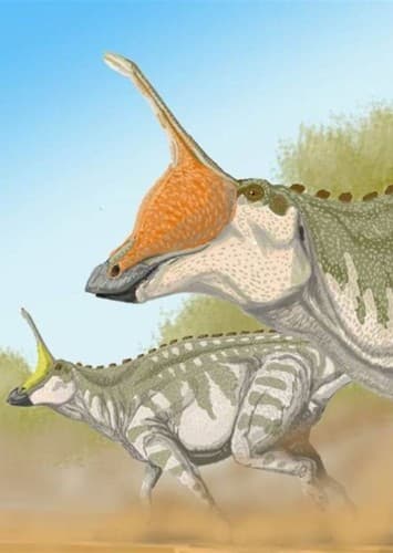 Tsintaosaurus