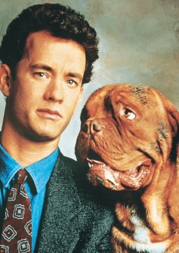 Turner & Hooch