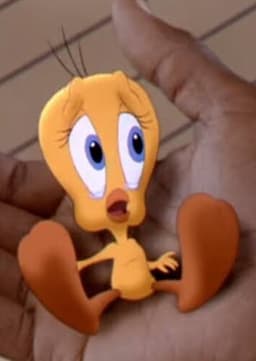 Tweety Bird