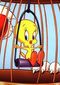 Tweety Bird
