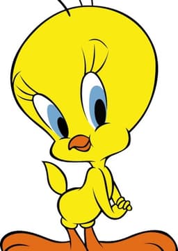 Tweety Bird