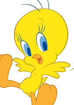 Tweety Bird