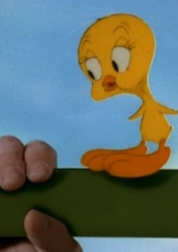 Tweety Bird