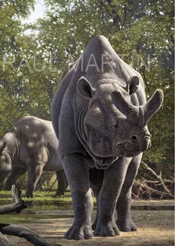 Uintatherium