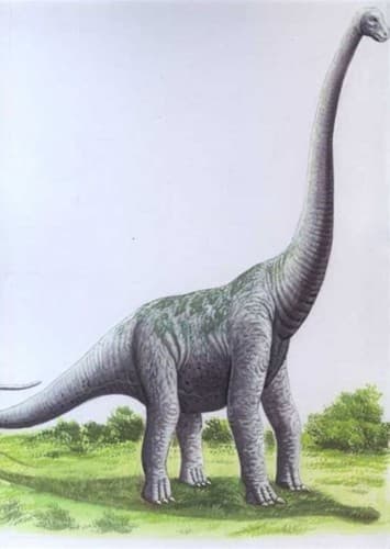 Ultrasaurus