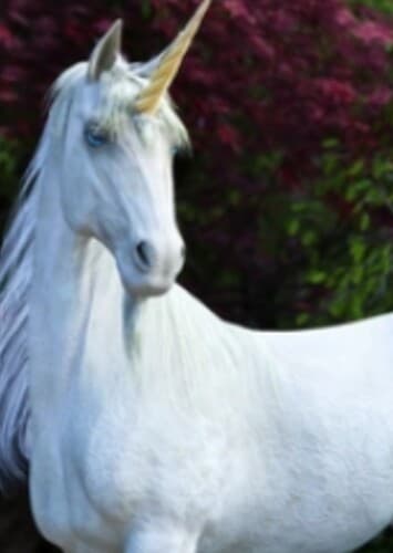 Unicorn