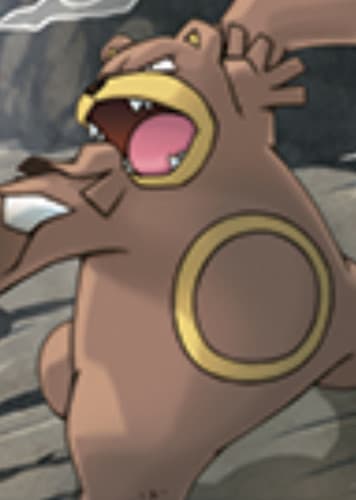 Ursaring / リングマ