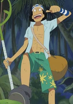 Usopp (Perfect Option)