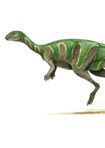Valdosaurus