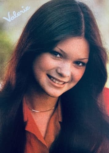Valerie Bertinelli