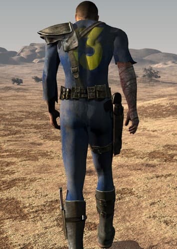 Vault dweller