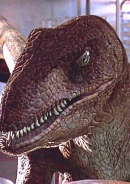 Velociraptor