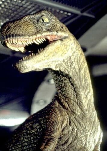 Velociraptor