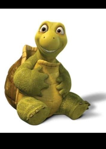 Verne the Turtle