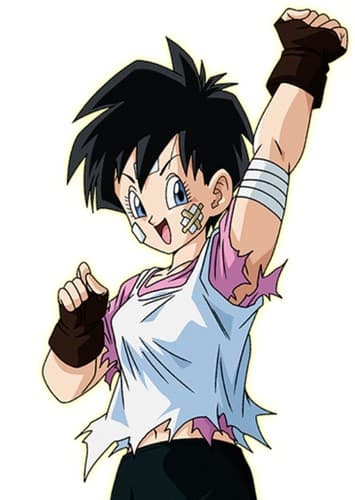 VIDEL