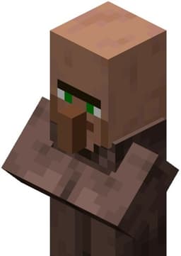 Villager