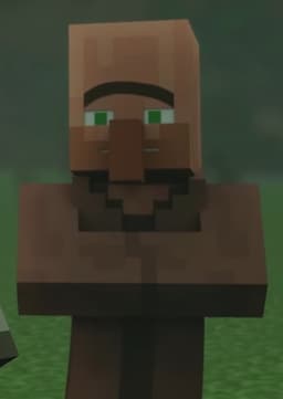 Villager Assistant