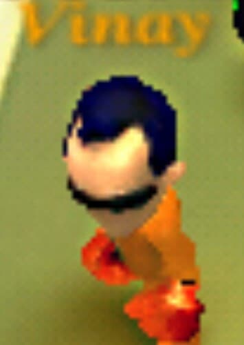 Vinay